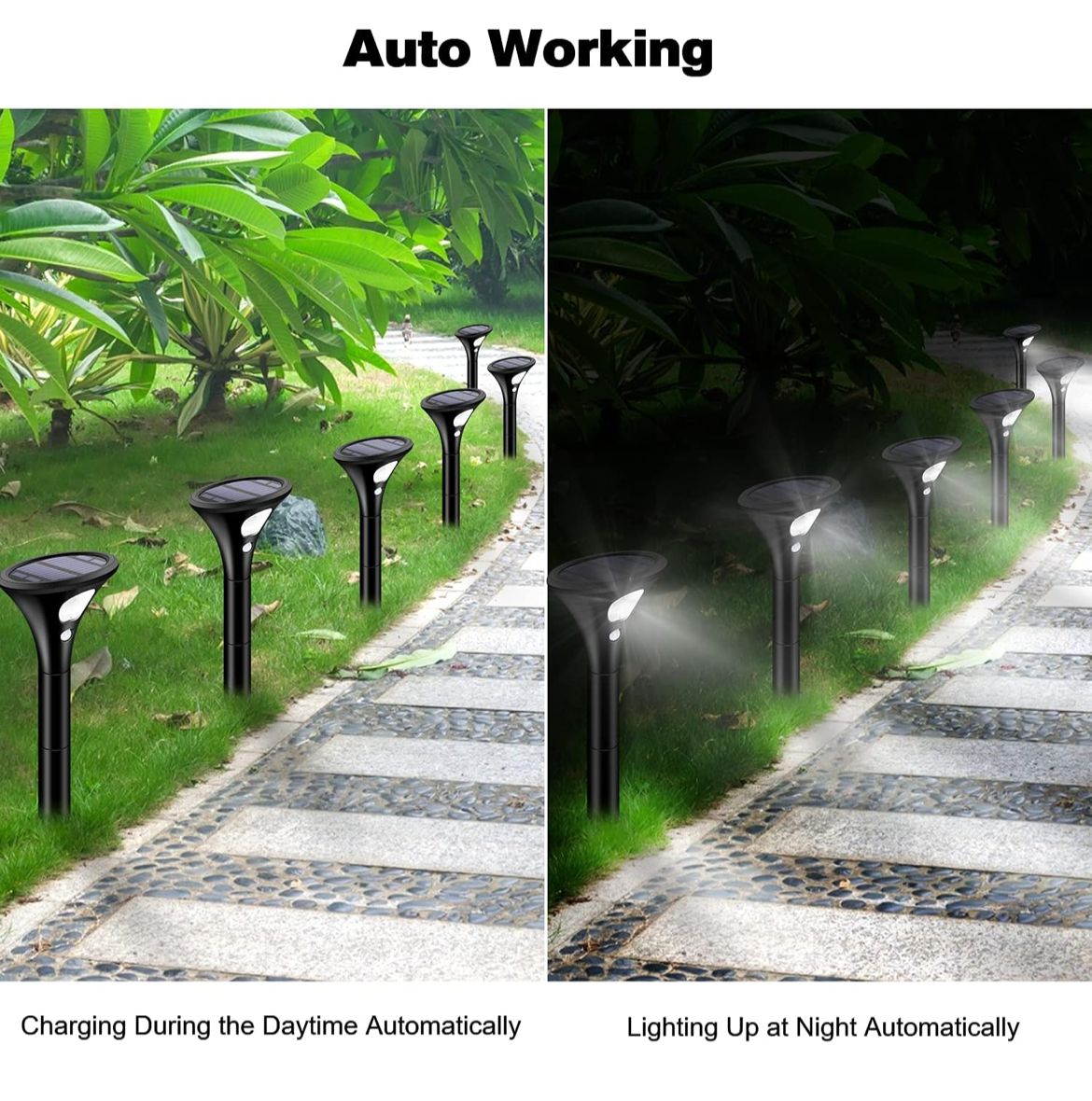 مصباح كينجلايت الشمسي للهواء الطلق